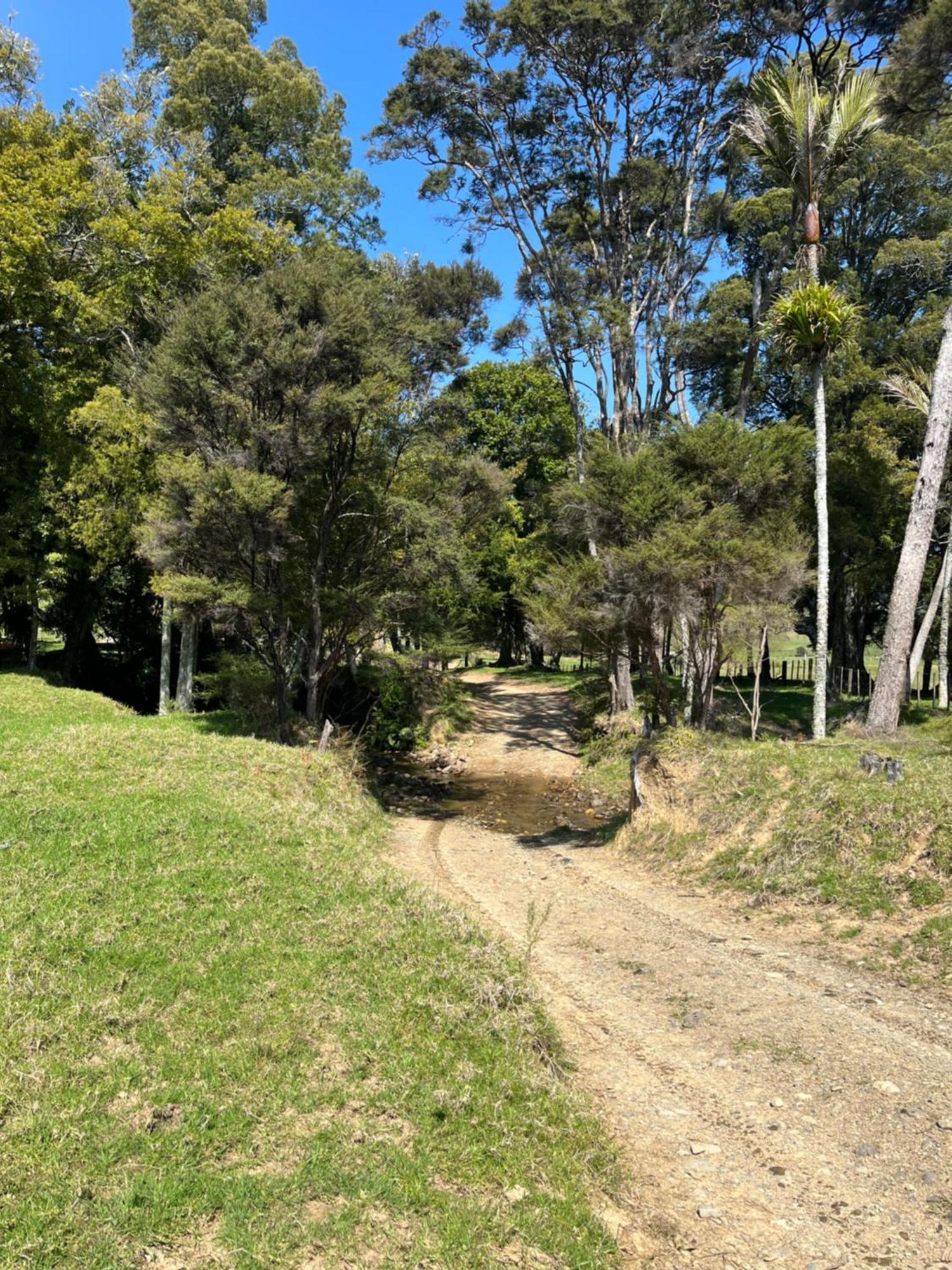 White Star Station Farm Holiday Park Coromandel Εξωτερικό φωτογραφία