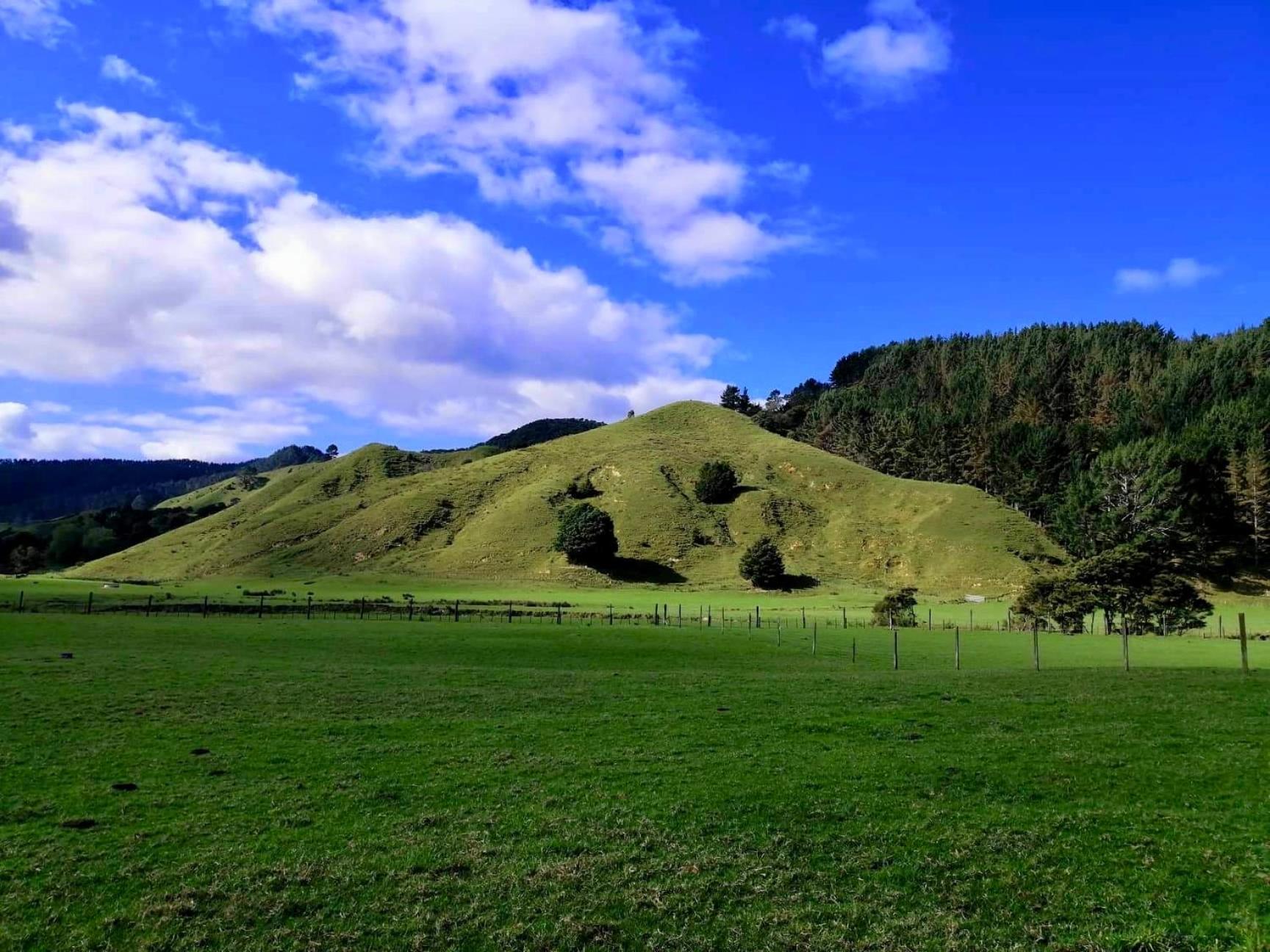 White Star Station Farm Holiday Park Coromandel Εξωτερικό φωτογραφία